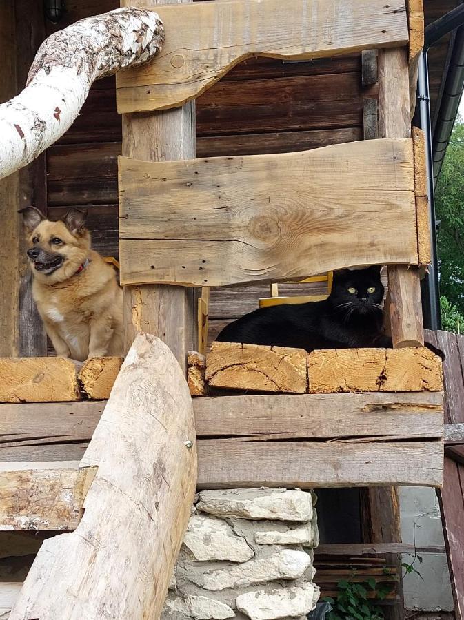 Agroturystyka LipoweWzgórze domek Antek Tereszpol Zewnętrze zdjęcie